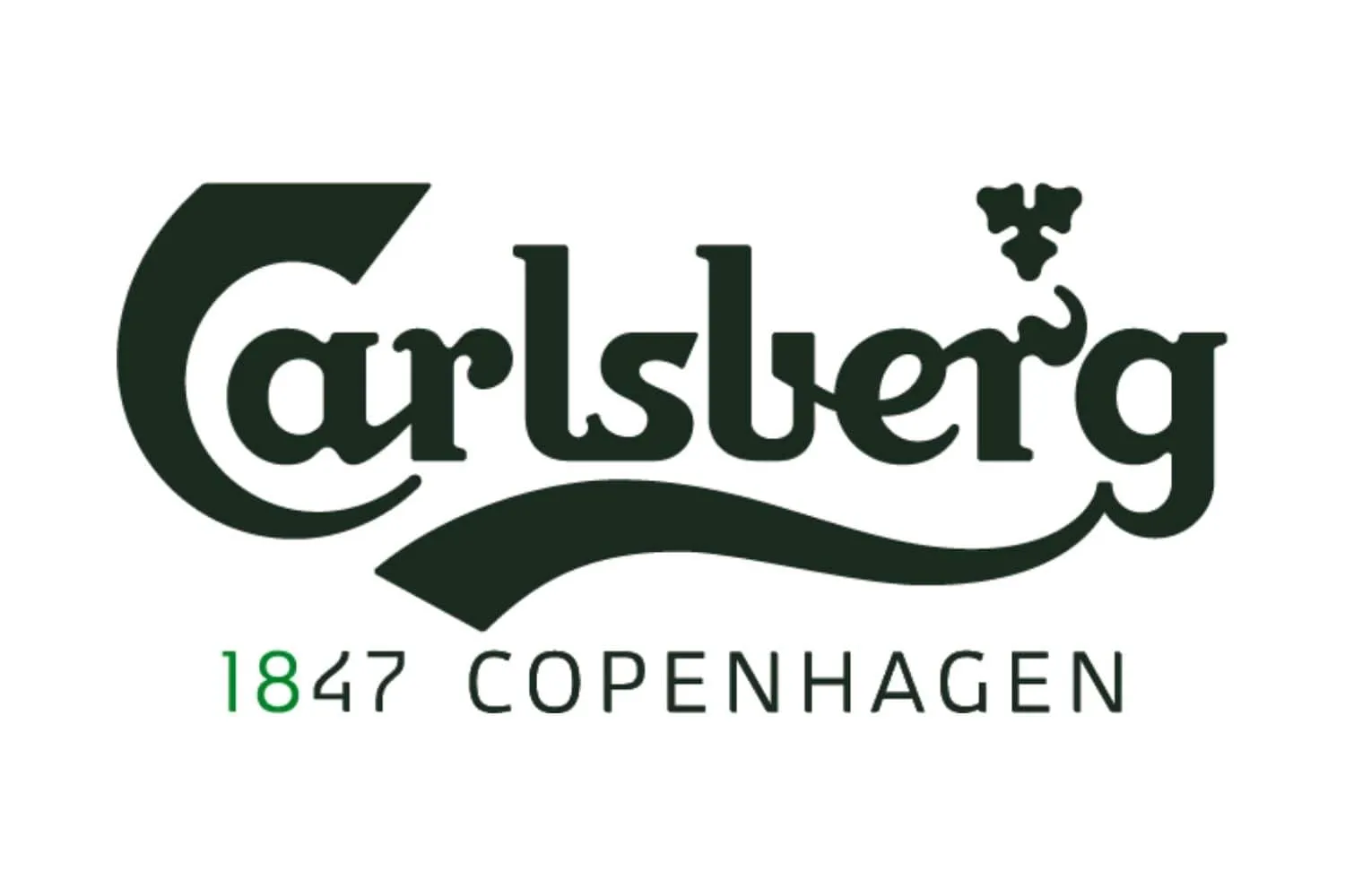 CARLSBERG ŞİŞE 50CC