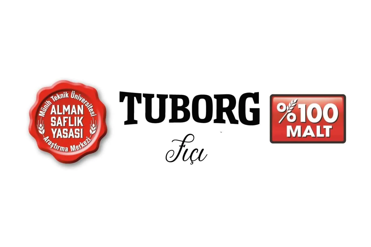 TUBORG FIÇI (33cl)